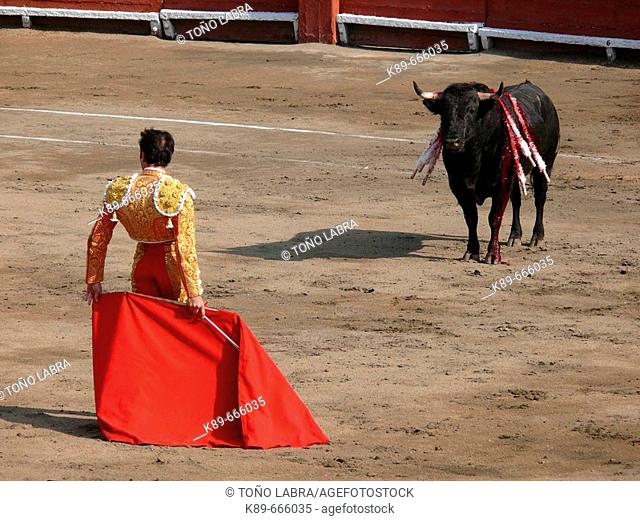 Bullfighting. Acho bullring. Lima. Peru
