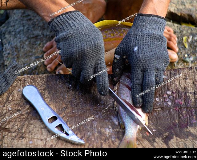 Fisherman Hands PREPARING FISH, Dominican Republic