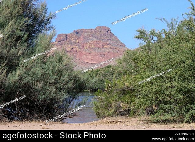 View of Red Mountain from Coon Bluff Recreation Area, Mesa, AZ