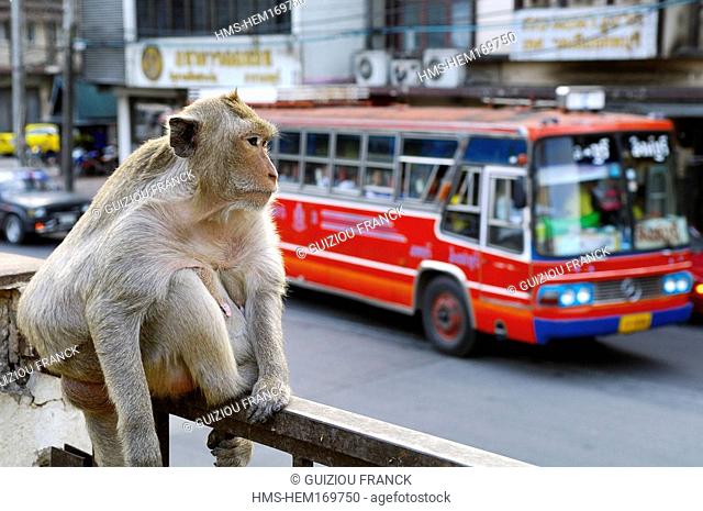 Thailand, Lopburi, the city is invaded by monkeys