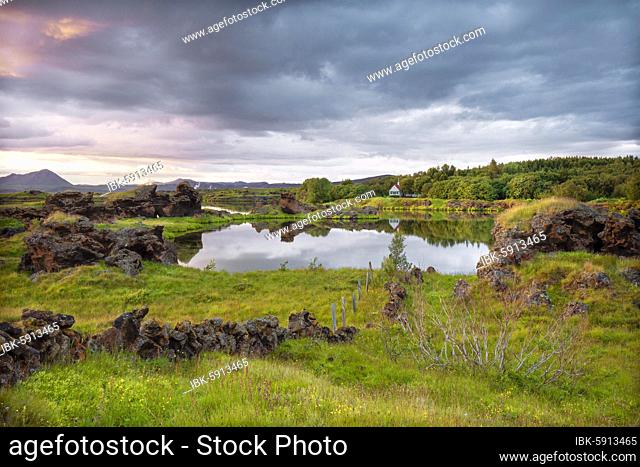 Lava formations of volcanic rock rise from green meadows with dramatic skies at Kalfaströnd, house is reflected in lake Mývatn, Skútustaðir, Norðurland eystra