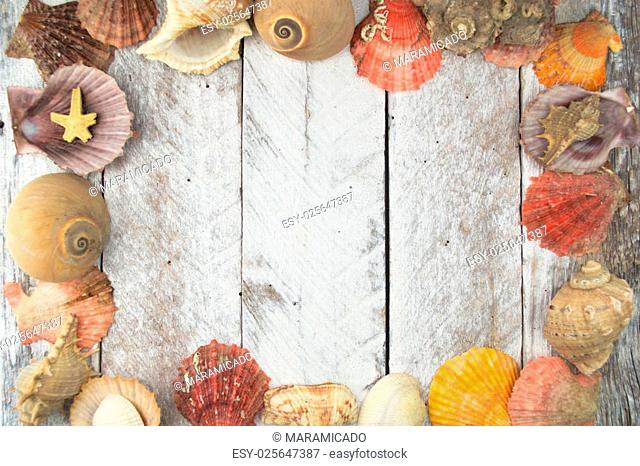 Sea shell frame on wooden background