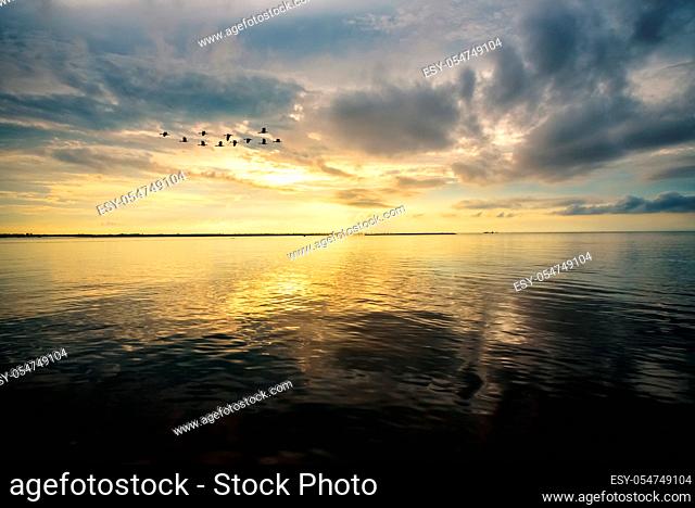 Beautiful nature landscape, bright golden sunlight in the sky and silhouette flock of birds flying for a living in the morning during the sunrise over Songkhla...