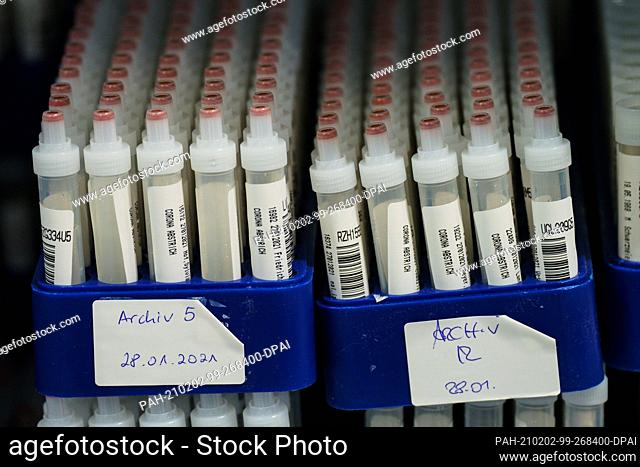 01 February 2021, Rhineland-Palatinate, Ingelheim: Plastic tubes containing corona swabs stand in Bioscientia's large laboratory after PCR testing