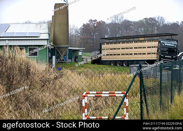 16 November 2021, Mecklenburg-Western Pomerania, Vogelsang: A truck for animal transports stands on the premises of a pig breeding farm