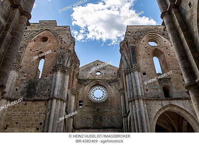 Ruins of former Cistercian Abbey of San Galgano, Chiusdino, Tuscany, Italy