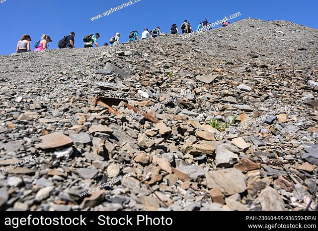 04 June 2023, Saxony-Anhalt, Volkstedt: The tailings pile, which can be climbed by visitors, consists of 8.5 million cubic meters of barren rubble and stones