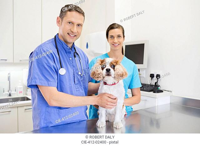 Veterinarians examining dog in vet's surgery