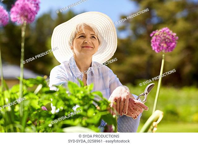 senior woman with garden pruner and flowers