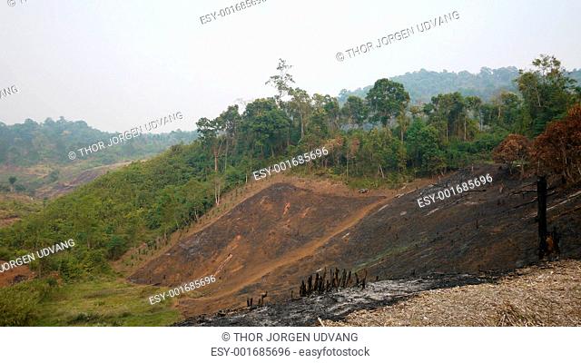Slash and burn agriculture in Thailand