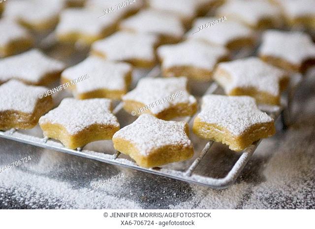 Tiny star-shaped shortbread cookies, dusted with white icing sugar, sit on a silver cooling rack