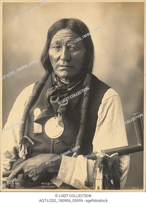 White Buffalo, Arapahoe; Adolph F. Muhr (American, died 1913), Frank A. Rinehart (American, 1861 - 1928); 1898; Platinum print; 24 x 18