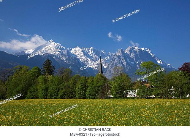 Spring meadow, Wetterstein mountains, Garmisch-Partenkirchen, Bavaria, Germany