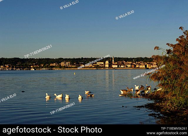 Europe, Italy, Lombardy, Varese, Lake Maggiore, Angera lakefront