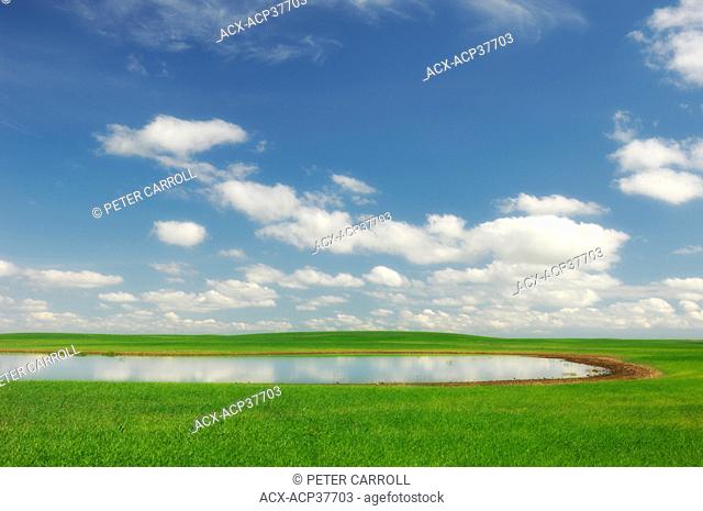 Farmland in Southern Alberta, Canada