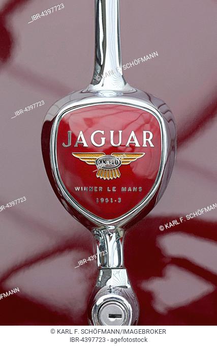 Emblem on Jaguar XK140, built in 1952, Winner Le Mans, British classic sports car