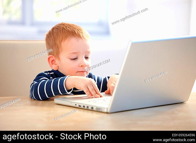 Lovely little boy using laptop at home, sitting at table