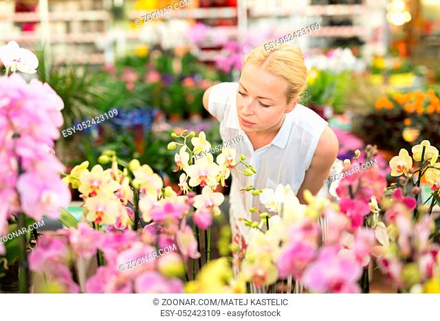 Beautiful female customer smelling colorful blooming orchids in retailer's greenhouse