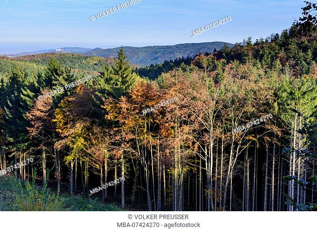 Bergern im Dunkelsteinerwald, forest Dunkelsteinerwald, view to Göttweig Abbey, Wachau, Lower Austria, Austria
