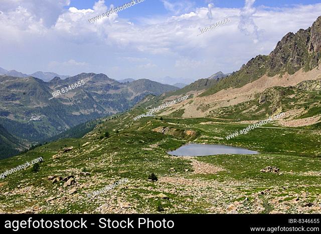 View of 2350 metre high Passo Lombarda pass above tree line on the French-Italian border, in front of it a small mountain lake, Colle della Lombarda