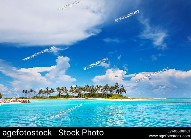 Beautiful Maldives beach. Natural beautiful background