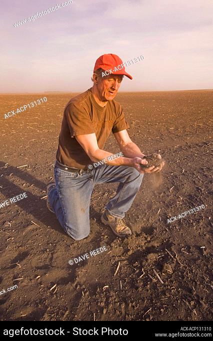 A man holds top soil in a drought stricken field, Tiger Hills, Manitoba, Canada