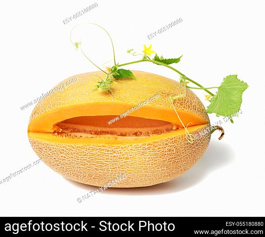 ripe juicy orange melon and cut piece with seeds, green shoot with leaves and flowers isolated on white background