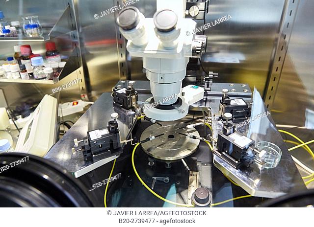 Controlled atmosphere glove box, Laboratory, Research on synthesis, assembly and processing of polymers, Donostia, San Sebastian, Gipuzkoa, Basque Country
