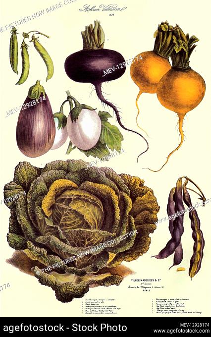 Cabbage, Turnips, Peas