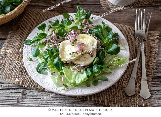 Salad with lamb's lettuce, marinated goat cheese and fresh radish sprouts