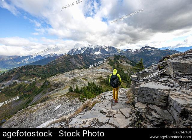 Hikers on trail on Table Mountain, view of Mt. Shuksan with snow and glacier, Mt. Baker-Snoqualmie National Forest, Washington, USA, North America