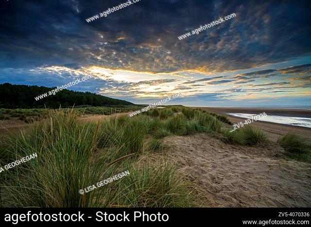 The dunes at Holkham beach at sunset, Norfolk, England, Uk