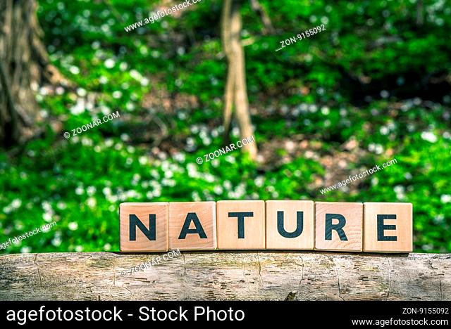 Nature sign in a green forest in the springtime