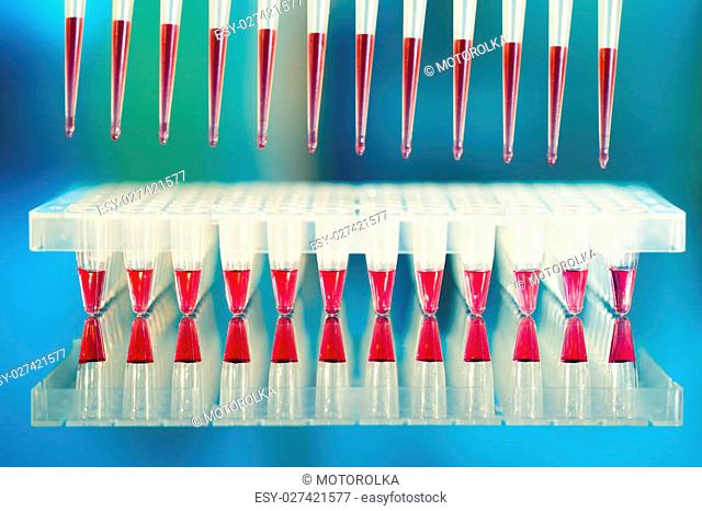 Tools for PCR amplification of DNA: 96-well plate and automatic pipette