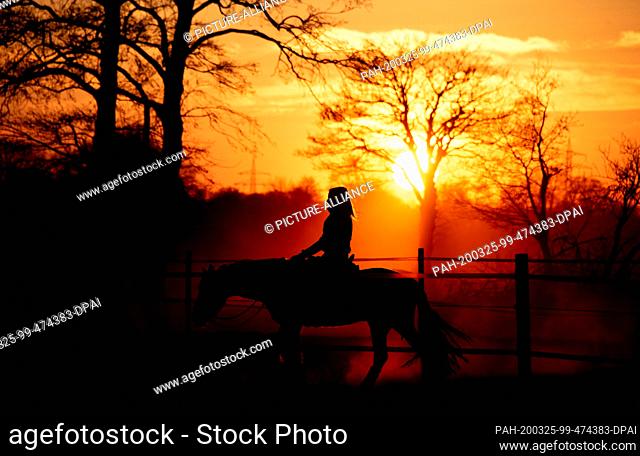 25 March 2020, Lower Saxony, Wardenburg: The silhouette of a female rider with her horse stands out against the warm light of the setting sun