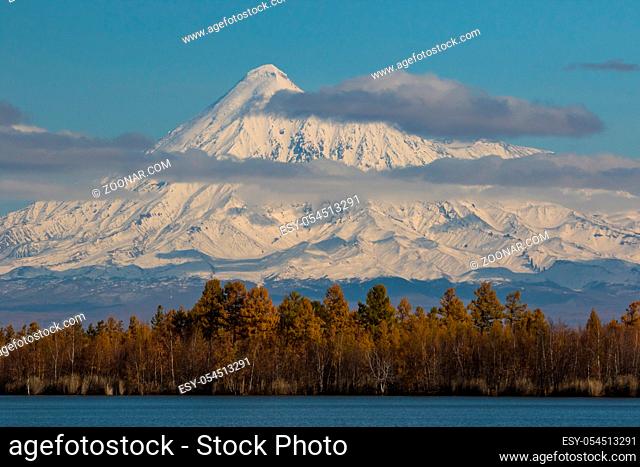 The shore of the lake is covered with forest in the background of the Kamchatka volcano in the late autumn