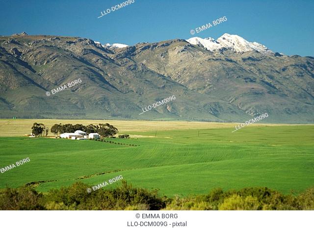 View of farm beneath a snow capped mountain, Grootwinterhoek, Porterville, Western Cape Province, South Africa