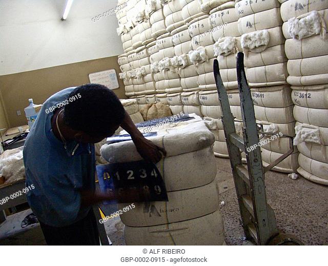 Staff, cotton, prepare bales, cotton, textiles, Leme, Sao Paulo, Brazil