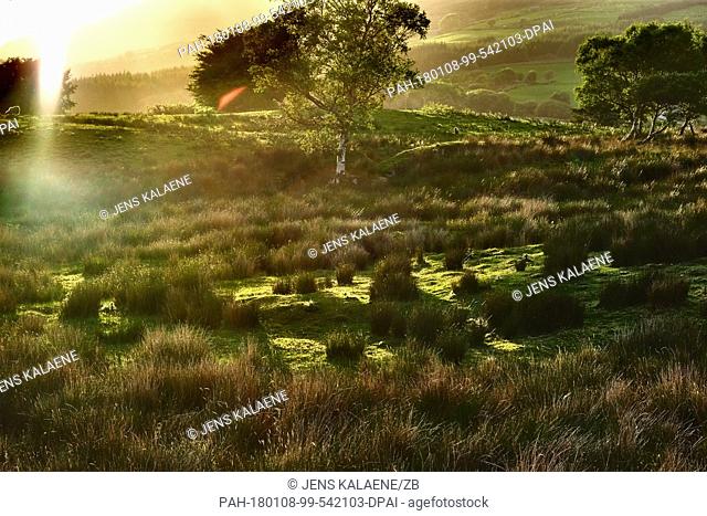 A landscape near Kenmare, Ireland, 30 May 2017. · NO WIRE SERVICE · Photo: Jens Kalaene/dpa-Zentralbild/ZB. - Kenmare/County Kerry/Ireland