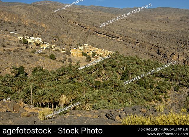 Mountain village of Misfah al Abriyeen on the edge of a date palm oasis in the foothills of the Hajar mountains, Wilayat of al Hamra, Sultanate of Oman