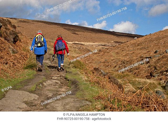 Two ramblers, walking on eroded path in upland habitat, Derwent Valley, Peak District, Derbyshire, England, march