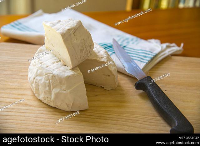 Cottage cheese on wooden chopping board. Still life