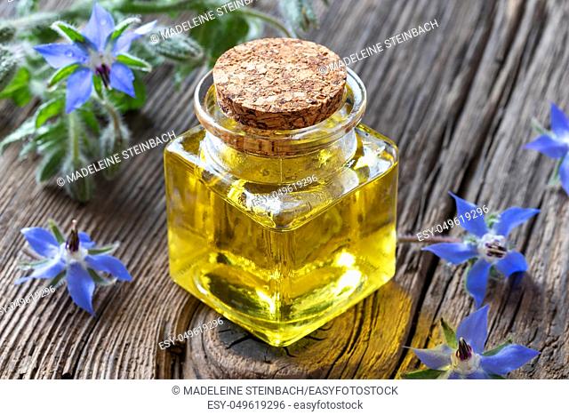 A bottle of borage oil with fresh blooming plant