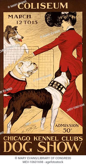 Chicago Kennel Club's dog show. Poster showing a woman admiring dogs at the Chicago Kennel Club's dog show. Date 1902
