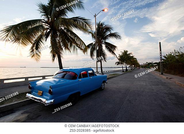 Blue american vintage car with palm trees at the Malecon, Cienfuegos, Cuba, Americas