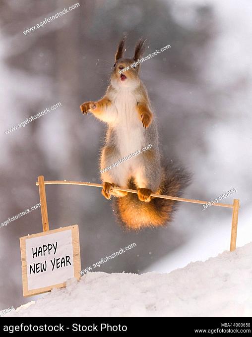 red squirrel with a new year sign and open mouth