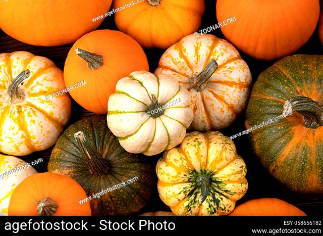 Assortiment of autumn harvested pumpkins in a heap background , Halloween holiday concept