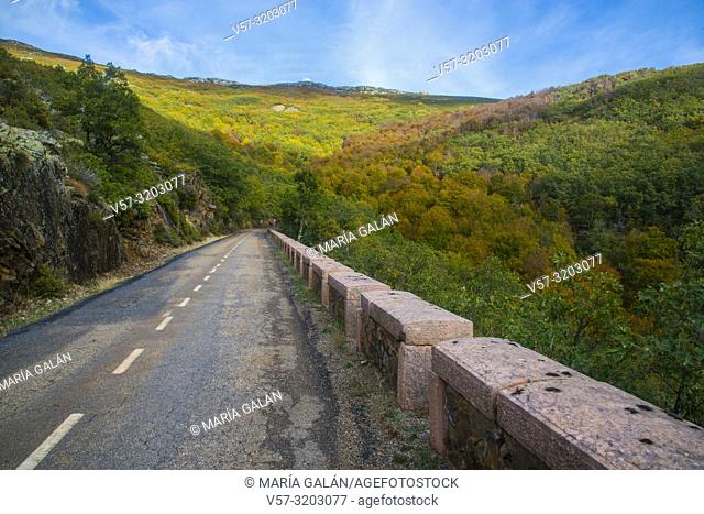 Autumn landscape. La Quesera mountain pass, Riofrio de Riaza, Segovia province, Castilla Leon, Spain