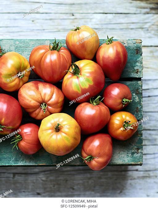 Tomato harvest on wooden box