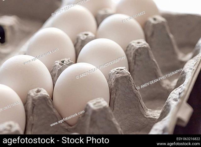 Carton of White Chicken Eggs